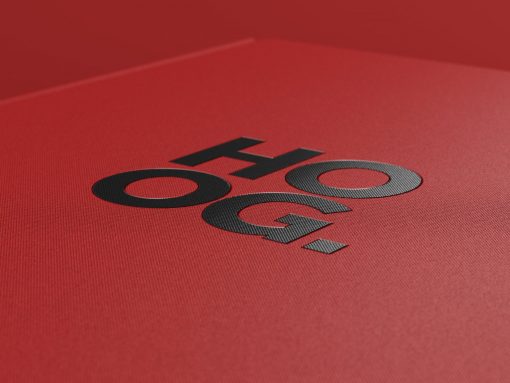 HOOG. detailshot logo cover 2