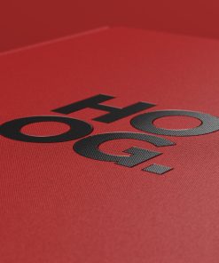 HOOG. detailshot logo cover