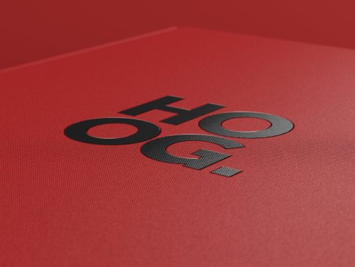 HOOG. detailshot logo cover