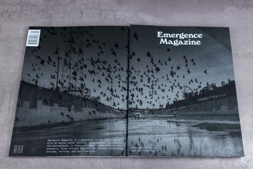 Emergence magazine cover all the way