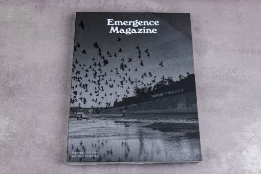 Emergence magazine cover voorkant