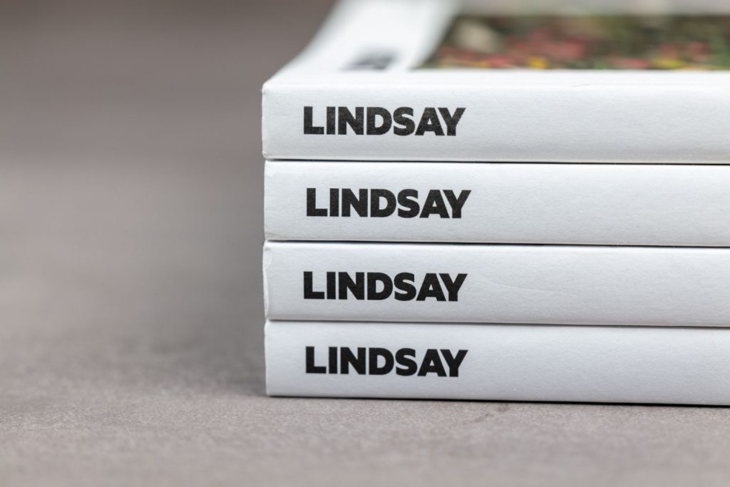 Lindsay Issue No.1 detailshot ruggen serie