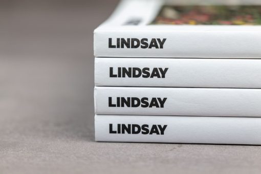 Lindsay Issue No.1 detail shot backs series