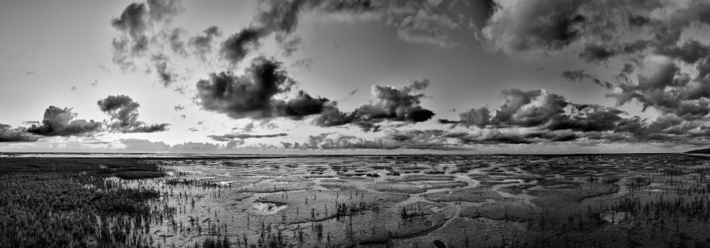 Time &amp; Tide Uithuizerwad Tidal marsh evening